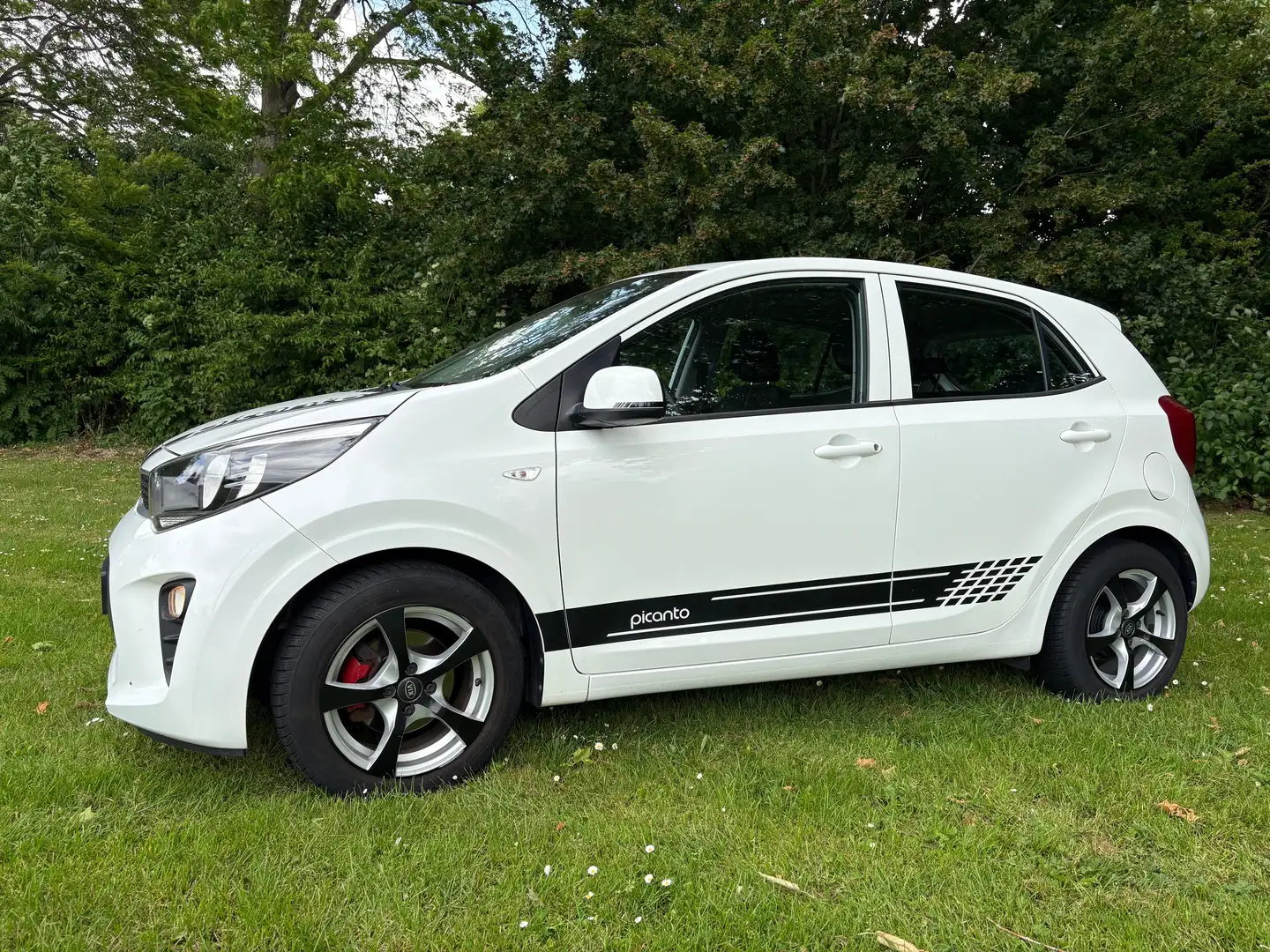 Kia Picanto Picanto 1.0 CVVT Eco.PlusL Wit - 2