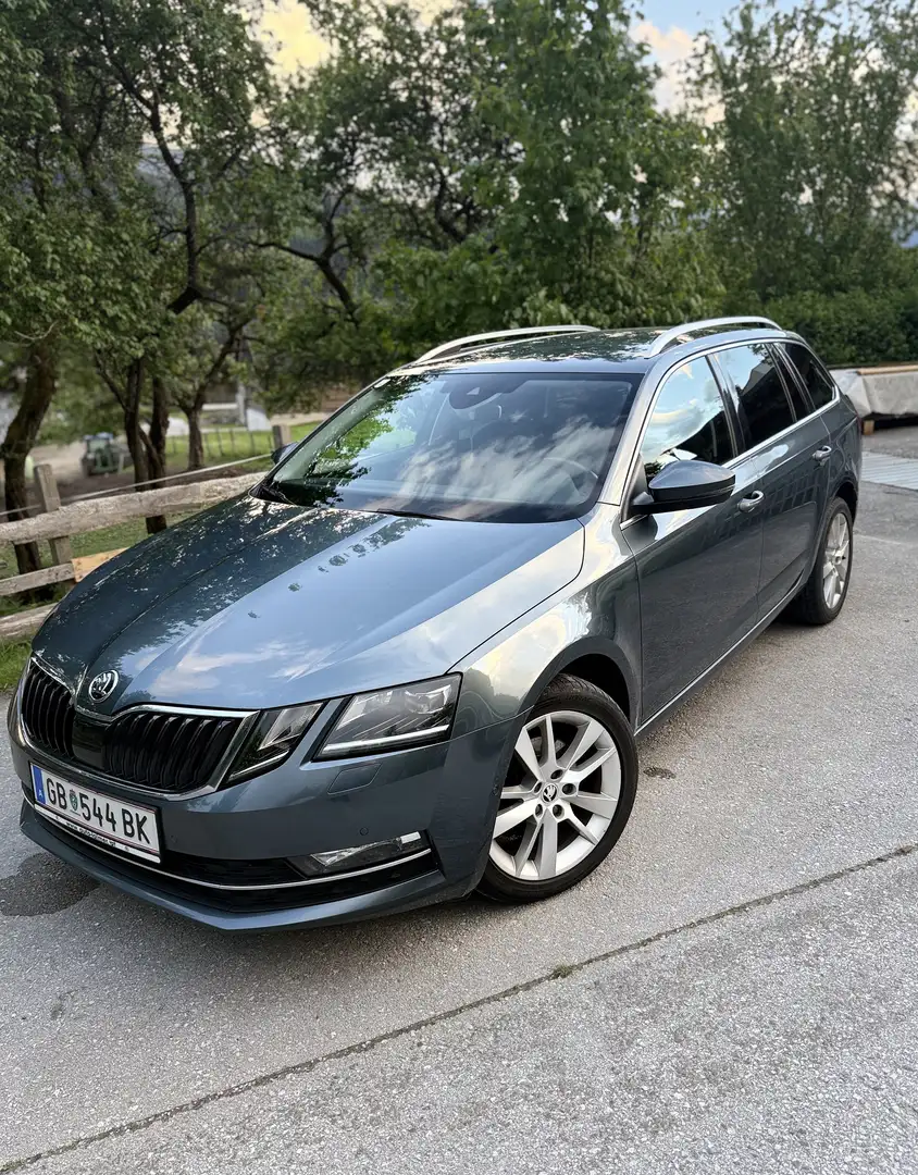 Skoda Octavia Combi 1,6 Ambition Limited TDI 4x4 Grau - 1