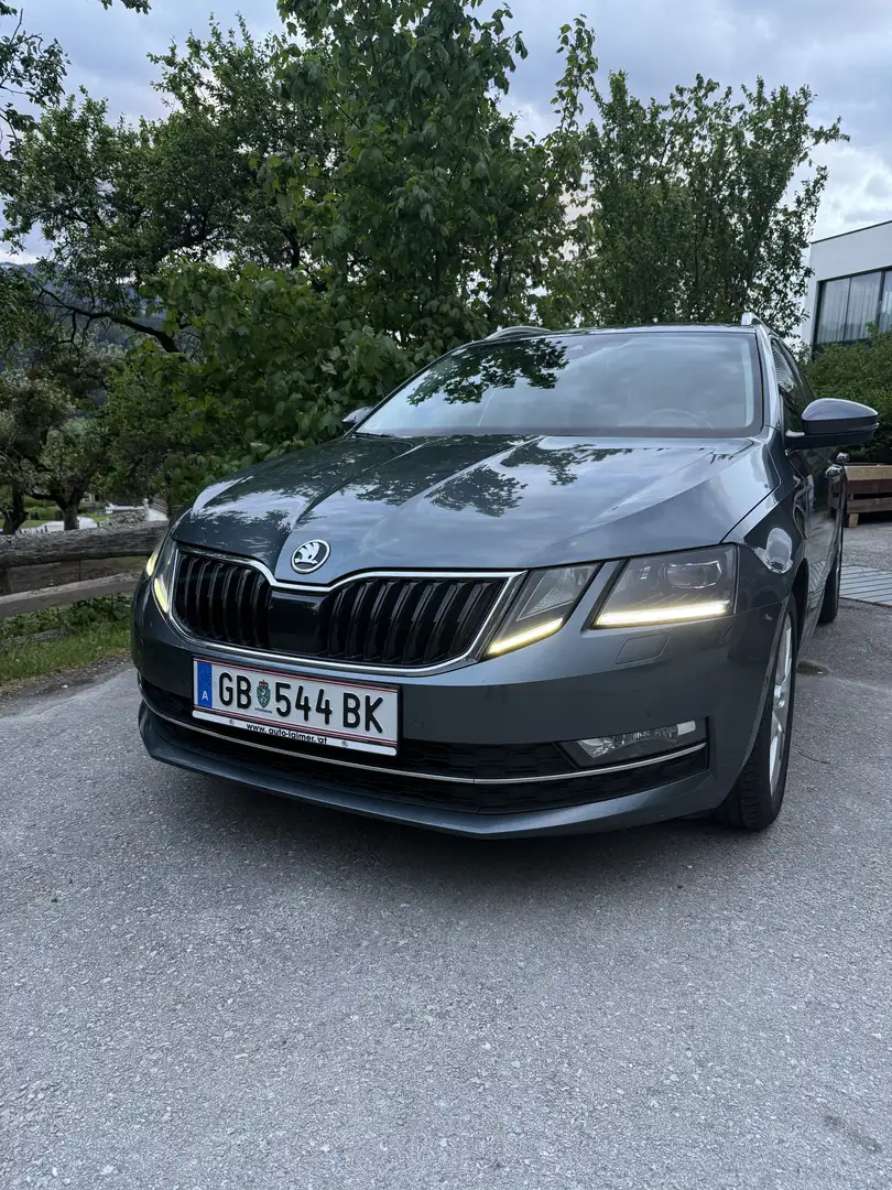 Skoda Octavia Combi 1,6 Ambition Limited TDI 4x4 Grau - 2