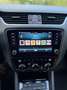 Skoda Octavia Combi 1,6 Ambition Limited TDI 4x4 Grau - thumbnail 18