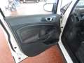 Ford EcoSport EcoSport 1.0 ecoboost Business c/navi 125cv Argento - thumbnail 8
