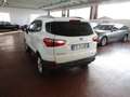 Ford EcoSport EcoSport 1.0 ecoboost Business c/navi 125cv Argento - thumbnail 6