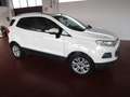 Ford EcoSport EcoSport 1.0 ecoboost Business c/navi 125cv Argento - thumbnail 3