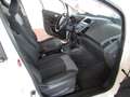 Ford EcoSport EcoSport 1.0 ecoboost Business c/navi 125cv Argento - thumbnail 9