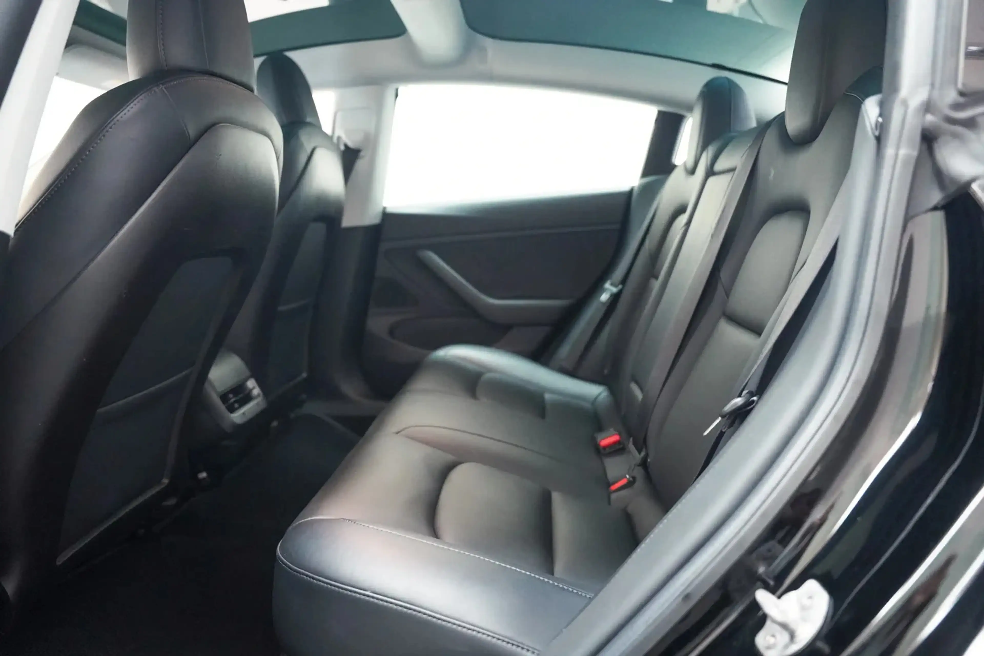 Tesla Model 3 Standard RWD Plus 60 kWh [ Panoramadak Stoelverwar — photo 11
