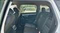 Honda CR-V 2.0 I-MMD HYBRID ELEGANCE CVT 184 5P Blanco - thumbnail 6