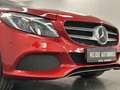 Mercedes-Benz C 350 E Panorama Burmester Luft Hud Acc 360° Roşu - thumbnail 4