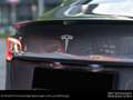 Tesla Model 3 Performance ab 504,78 €/mtl. Grau - thumbnail 10
