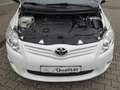 Toyota Auris 1,6 l Edition Weiß - thumbnail 12