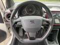 SEAT Mii 1.0 FR Intense Wit - thumbnail 13