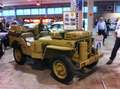 Jeep Willys Verde - thumbnail 3