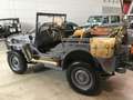 Jeep Willys Verde - thumbnail 6