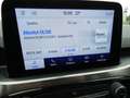 Ford Kuga Plug-in Hybrid 2.5 Duratec PHEV TITANIUM ECVT AHK Gris - thumbnail 14