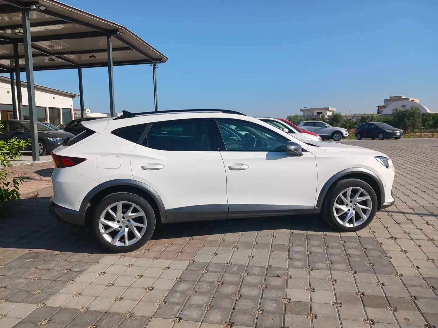 CUPRA Formentor Formentor 2.0 tdi 150cv Bianco - 2