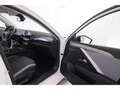 Opel Astra L 1.2T ST Edition+LED+NAVI+VIRTUAL+TEMPO Blanc - thumbnail 20