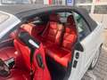 BMW 325 Baureihe 3 Cabrio 325 Ci Weiß - thumbnail 18