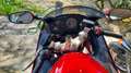 Honda CBR 1100 superblackbird Rojo - thumbnail 5