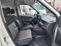 Fiat Doblo 1.3 Mjt 95cv  PC-TN GRANDINATO Bianco - thumbnail 14