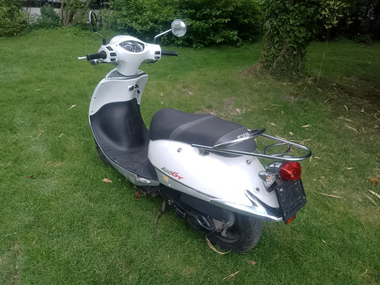 SYM Allo Gt Biały - 1