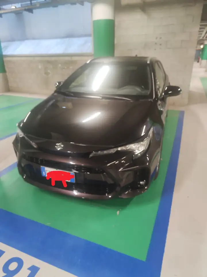 Suzuki Swace