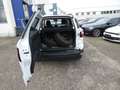 Ford EcoSport Cool "Navi"PDC Blanc - thumbnail 6