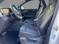 Volkswagen Tayron R-Line 2.0 TDI SCR 4MOTION 7-Gang-DSG Weiß - thumbnail 7