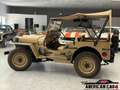 Jeep Willys MB 1942 - Restauration intégrale - Chassis Ford Beige - thumbnail 6