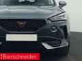 CUPRA Formentor 2.0 TDI DSG 4Dr. AHK NAVI KAMERA LED SHZ Grau - thumbnail 21