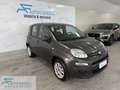 Fiat Panda Panda 0.9 TwinAir Turbo Natural Power Easy Marrone - thumbnail 3