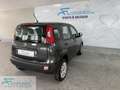 Fiat Panda Panda 0.9 TwinAir Turbo Natural Power Easy Marrone - thumbnail 6