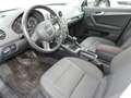 Audi A3 SB 1,6 Limited Edition Grau - thumbnail 13