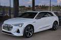 Audi e-tron quattro 95kWh S ACC, DigitalMatrix, HUD, Panora... Wit - thumbnail 38