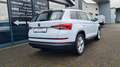 Skoda Kodiaq Ambition 4x4 - AHK - STANDHZG - LED - Weiß - thumbnail 8
