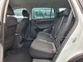 Skoda Kodiaq Ambition 4x4 - AHK - STANDHZG - LED - Weiß - thumbnail 14