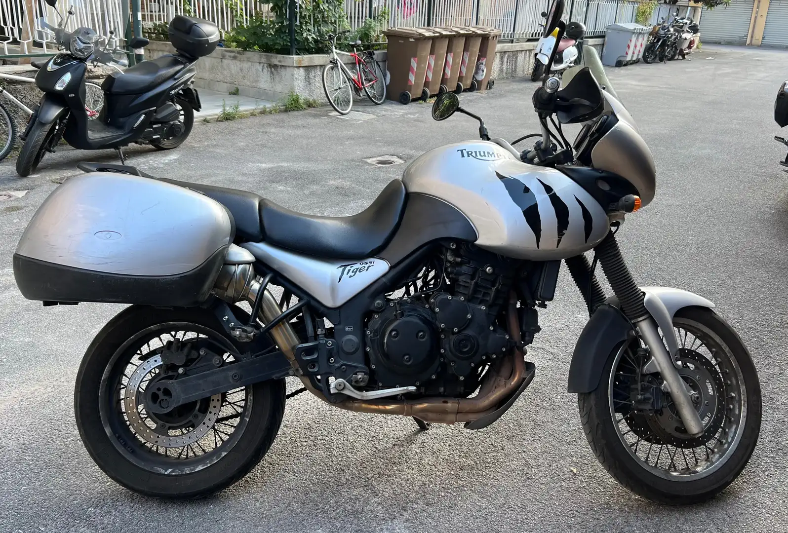 Triumph Tiger 955i STD1 Grigio - 2