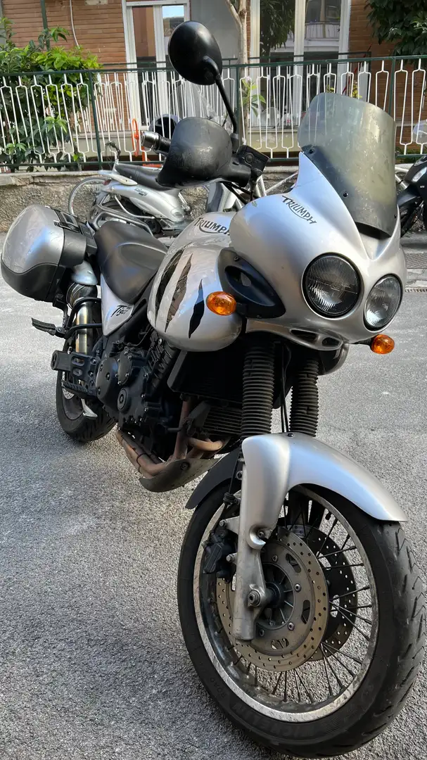 Triumph Tiger 955i STD1 Grigio - 1