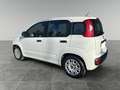Fiat Panda 1.2 Easy GPL Bianco - thumbnail 3