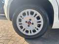 Fiat Panda 1.2 Easy GPL Bianco - thumbnail 7