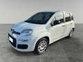 Fiat Panda 1.2 Easy GPL Bianco - thumbnail 1