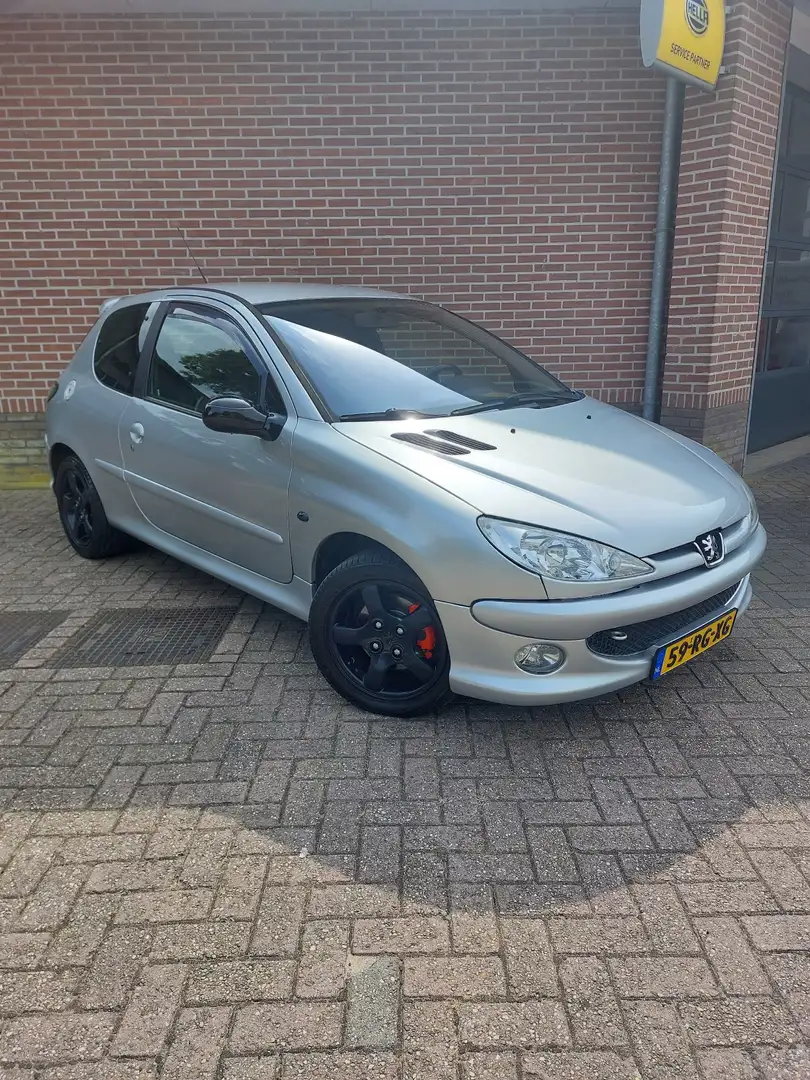 Peugeot 206 110 Quiksilver Grijs - 1