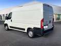 Peugeot Boxer 333 L2 H2 BHDI 88kW (120CV) S&S 6 V. M - Blanco - thumbnail 7