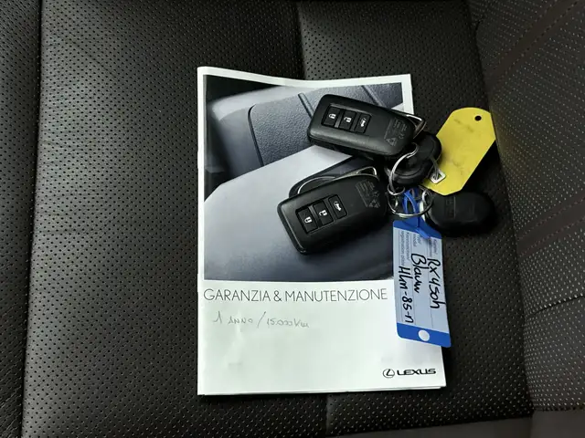 Lexus RX view 13