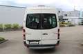Mercedes-Benz Sprinter 315 CDI HD 3,5 t / 4.325 mm Grau - thumbnail 5