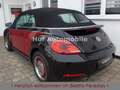 Volkswagen Beetle 1.2TSI KÄFER-Design Xenon Navi SHZ PDC Schwarz - thumbnail 4
