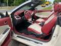 Renault Megane III Cabrio Floride Nr. 0702*SONDERMODELL* Beige - thumbnail 12