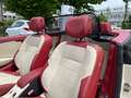 Renault Megane III Cabrio Floride Nr. 0702*SONDERMODELL* Beige - thumbnail 13