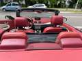 Renault Megane III Cabrio Floride Nr. 0702*SONDERMODELL* Beige - thumbnail 16