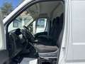 Opel Movano L3H2 3,5t CAM PDC KLIMA TEMP APP-CONNECT Blanc - thumbnail 13