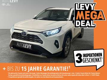 RAV4 2.5 Hybrid Business Allwetter+LED+CarPlay