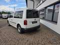 Volkswagen Caddy Kombi BMT Weiß - thumbnail 2